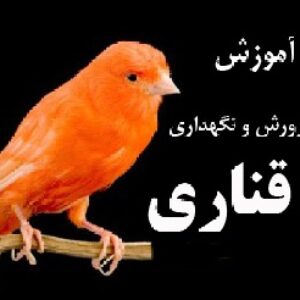 کتاب آموزش نگهداری از قناری