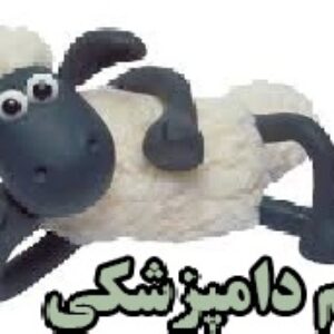 علم دامپزشکی 116 صفحه