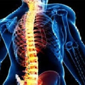 جراحی های ستون فقرات  PPT