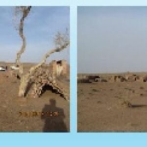 گزارش شناسایی و بررسی آثار تاریخی و فرهنگی دهستان زیرکوه - خراسان جنوبی