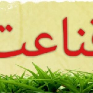 دانلود پروژه قناعت و اهمیت آن در زندگی(با توضیحات کامل)