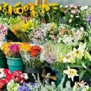 دانلود پاورپوینت نقش اتیلن در گلهای شاخه بریده
