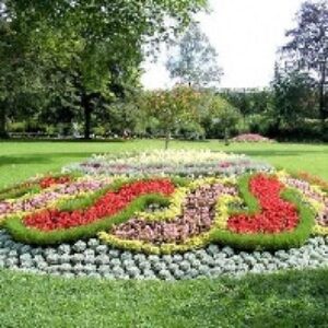 دانلود پاورپوینت بررسی اثرات فلزات سنگین بر درختان فضای سبز شهری با توجه به تغییرات فصلی و شرایط اکوفیزیولوژیکی