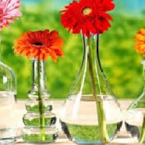 دانلود پاورپوینت مروری بر جنبه های مختلف  کشت هیدروپونیک در گل ژربرا