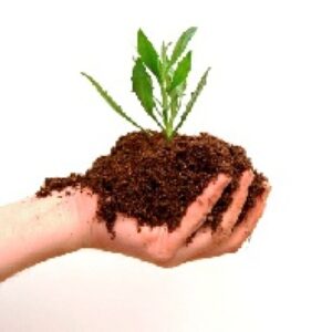 دانلود پاورپوینت کود سبز