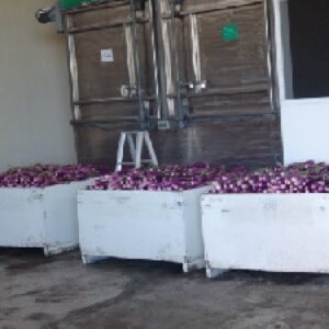 دانلود پاورپوینت کاربرد تیمارهای حرارتی در کنترل عوارض پس از برداشت