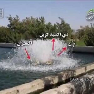 پرورش ماهي