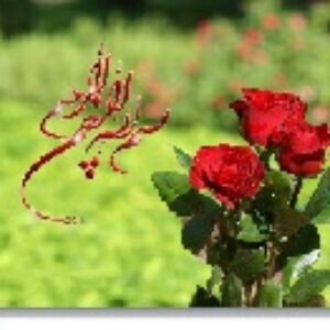 پاورپوینت فصل سوم علوم تجربی هشتم