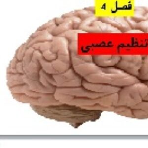 پاورپوینت فصل چهارم علوم تجربی هشتم