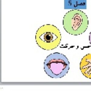 پاورپوینت فصل پنجم علوم تجربی هشتم