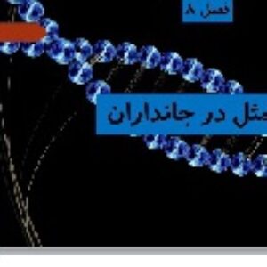 پاورپوینت فصل هشتم علوم تجربی هشتم