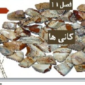 پاورپوینت فصل یازدهم علوم تجربی هشتم