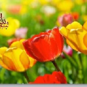 پاورپوینت درس اول مطالعات اجتماعی هشتم