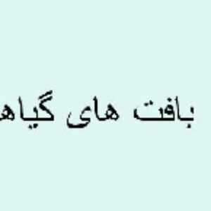 پاورپوینت بافت های گیاهی