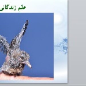 پاورپوینت درس هفتم فارسی هفتم