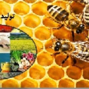 پاورپوینت درس هفتم مطالعات اجتماعی هفتم