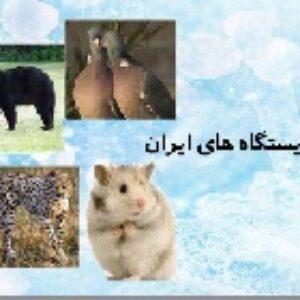 پاورپوینت درس یازدهم مطالعات اجتماعی هفتم