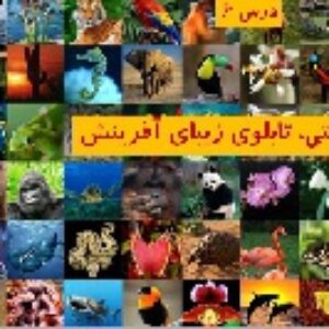 پاورپوینت درس ششم انسان و محیط زیست یازدهم