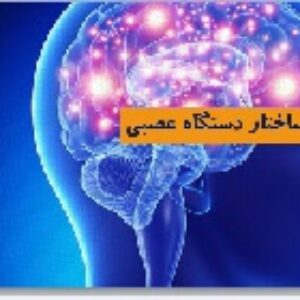 پاورپوینت گفتار دوم فصل اول زیست شناسی (2) پایه یازدهم