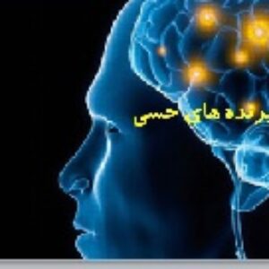 پاورپوینت گفتار اول فصل دوم زیست شناسی (2) پایه یازدهم