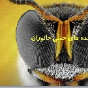 پاورپوینت گفتار سوم فصل دوم زیست شناسی (2) پایه یازدهم