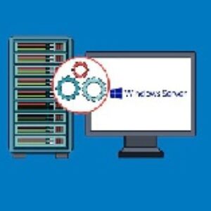 ویندوز سرور مولتی پوینت