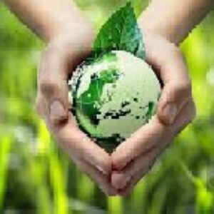 اثر برداخت یارانه به کود شیمیایی و تخریب محیط زیست