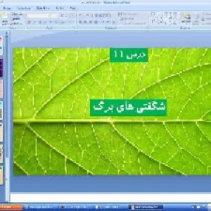پاورپوینت فصل 11 علوم پایه ششم شگفتی های برگ