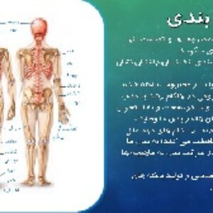 پاورپوینت علوم تجربی هشتم فصل 5