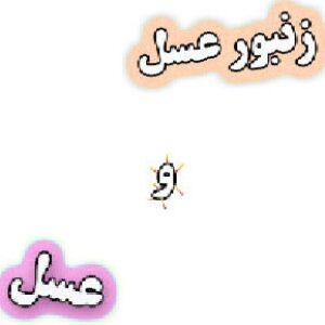 تحقیق در مورد زنبور عسل و عسل
