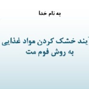 فرآیند خشک کردن مواد غذایی به روش فوم مت