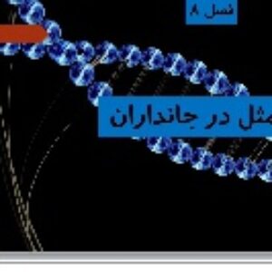 پاورپوینت فصل هشتم علوم تجربی هشتم