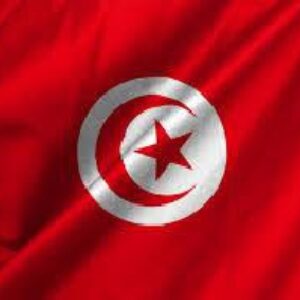 پاورپوینت کشور تونس