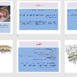 پاورپوينت با عنوان ترومای سر  Head Trauma