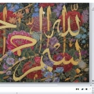 وزنه برداری معلولین
