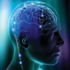 تحقیق درباره روانشناسی یادگیری