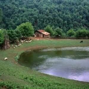 پاورپوینت کامل و جامع با عنوان بررسی شهر خلخال در 36 اسلاید
