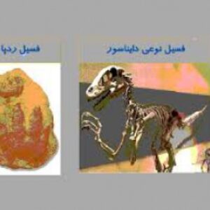 پاورپوینت اشنا کردن دانش اموزان با فسیل ها درس علوم