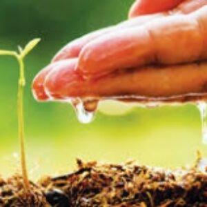 تحقیق درباره شیمی در کشاورزی