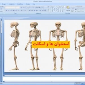 پاورپوینت زیست یازدهم تجربی ( استخوان ها و اسکلت )