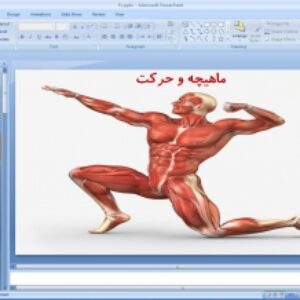 پاورپوینت زیست یازدهم تجربی ( ماهیچه و حرکت )