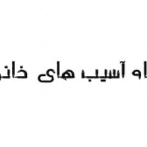 کارگاه آموزشی آسیب های خانواده