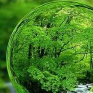 تحقیق درباره طبيعت و محيط زيست