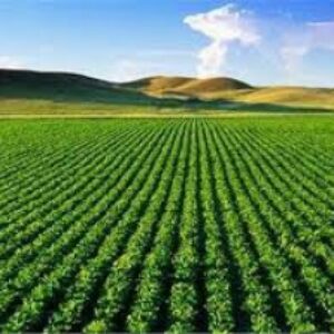 تحقیق درباره طرح دستگاه ضد سرمازدگی باغات