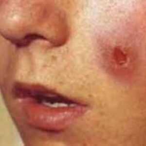 تحقیق درباره سالک