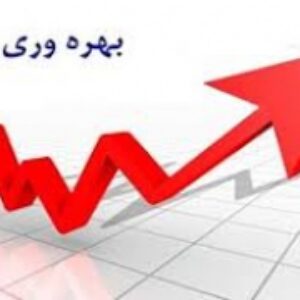 پاورپوینت  بهره وری و مفاهیم آن