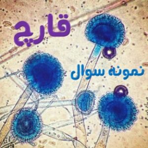 نمونه سوال قارچ شناسی
