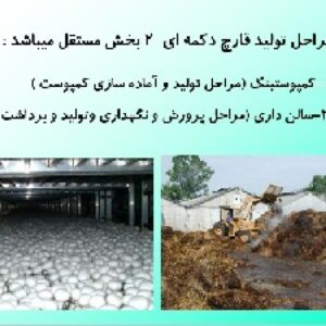 پاورپوینت کشاورزی کامل با عنوان اصول پرورش قارچهای دکمه ای بصورت عملی