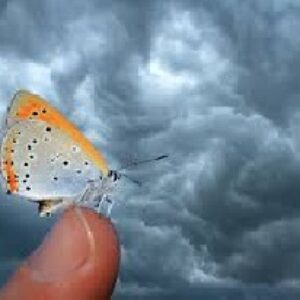 پاورپوینت اثر پروانه ای (نظریه آشوب)