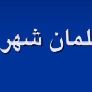 پاورپوینت مبلمان شهری